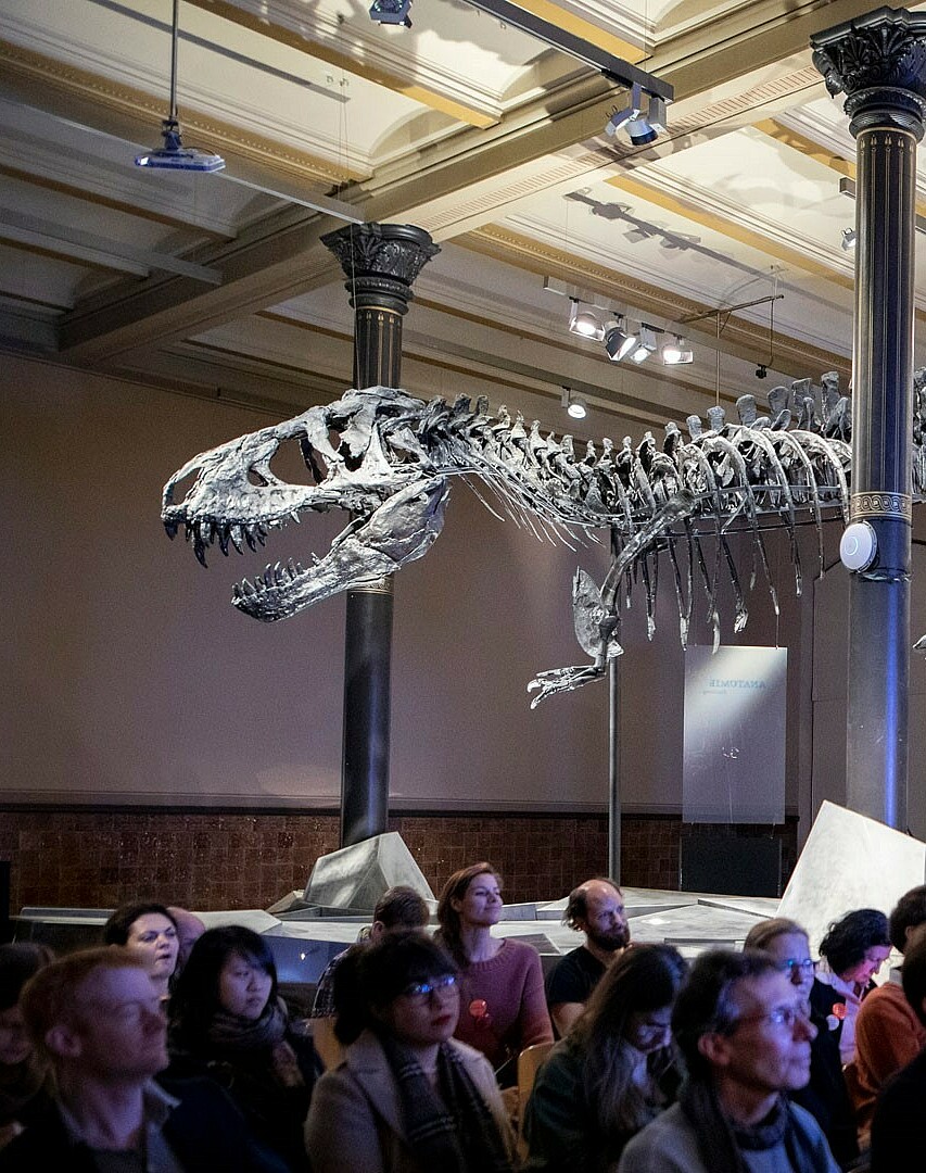 Dinosaurierskelett Tristan im Museum für Naturkunde Berlin