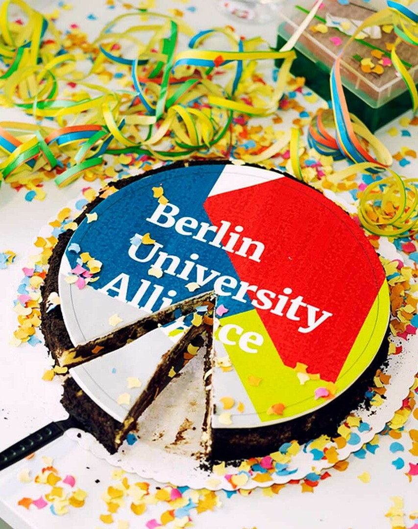 Berlin University Alliance, Brain City Berlin