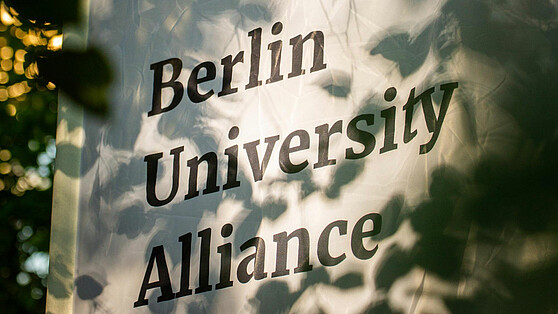 Das BUA-Logo auf einem Plakat, Brain City Berlin