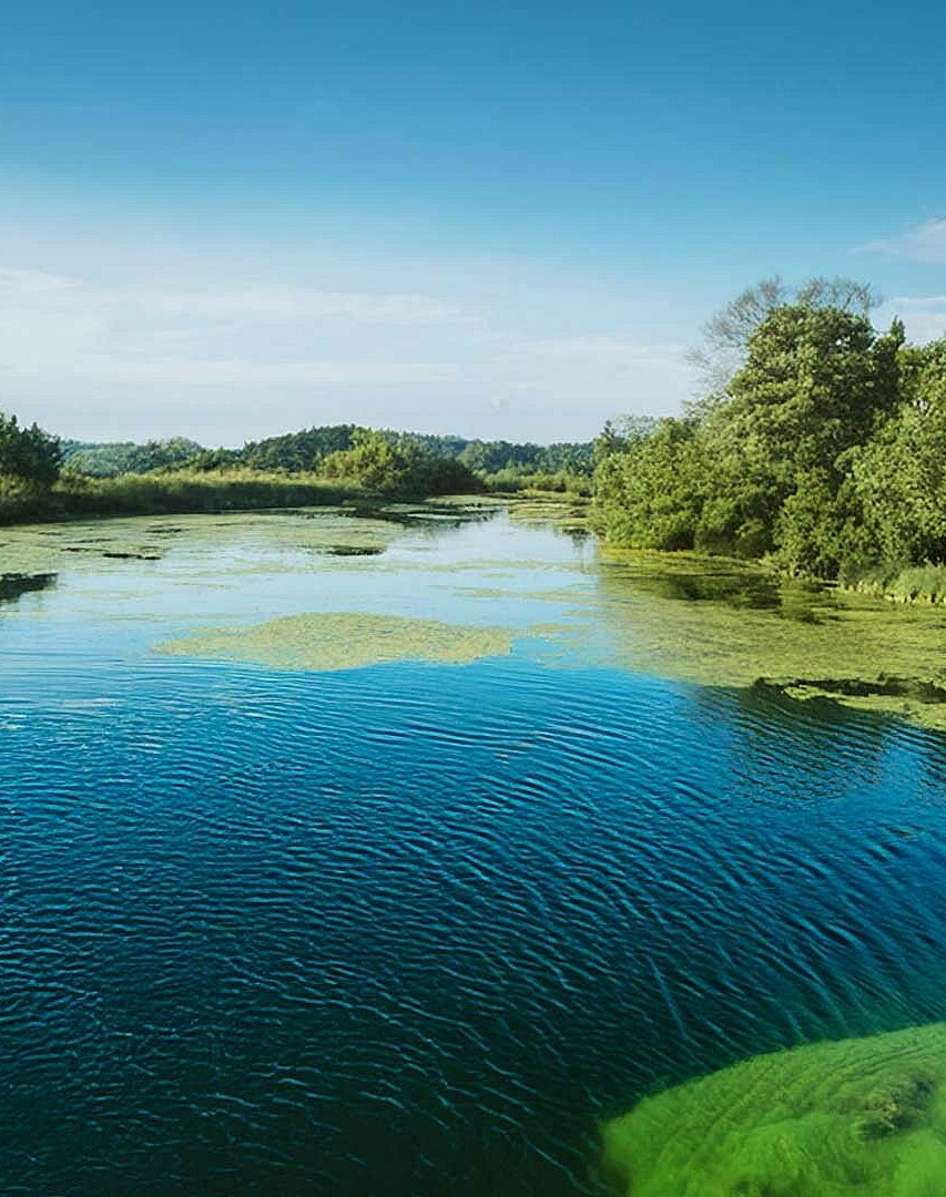  Lake with blue-green algae, Brain City Berlin