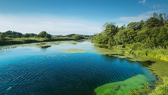  Lake with blue-green algae, Brain City Berlin