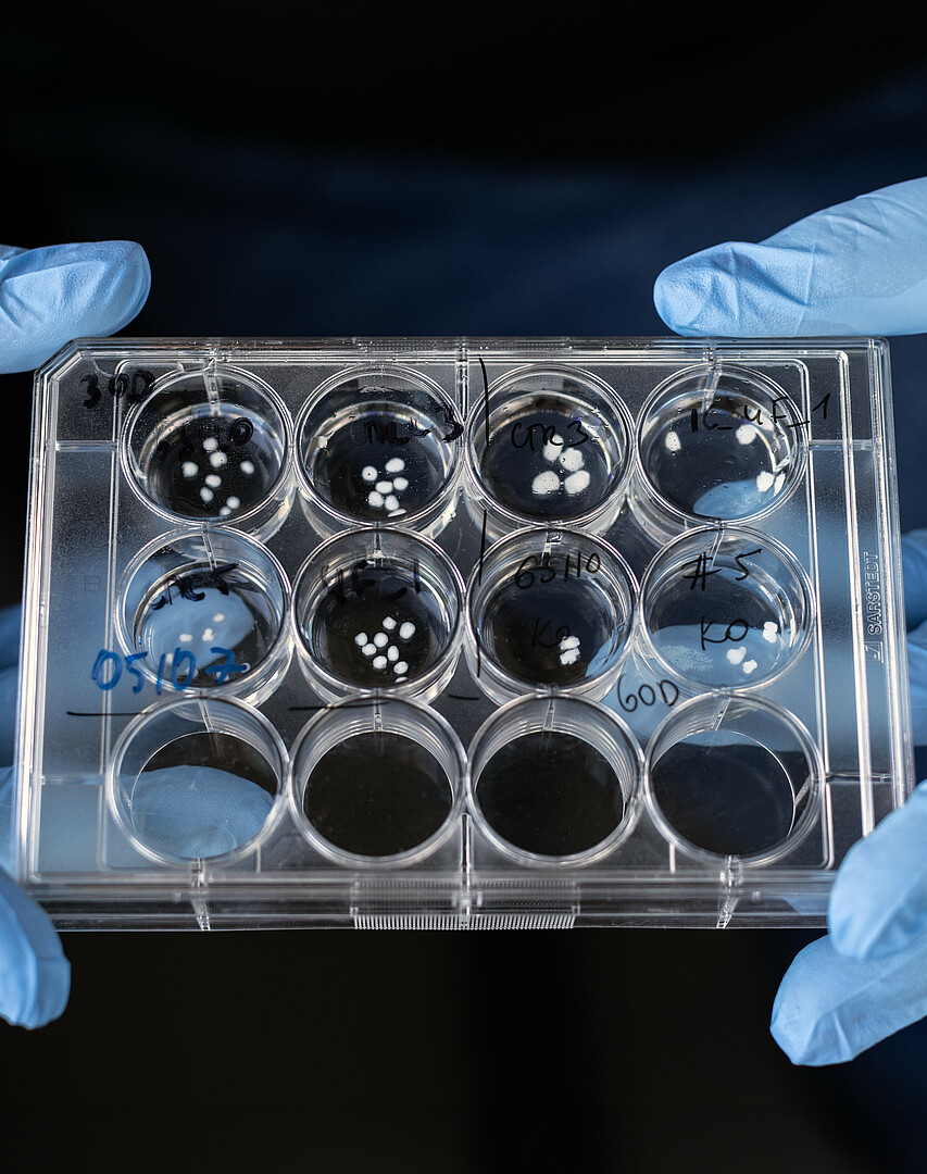  © Einstein Stiftung Berlin | Pablo Castagnola