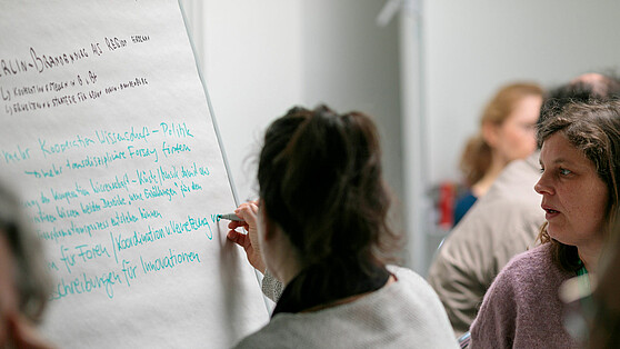 Project work at the Climate Change Center Berlin Brandenburg, Brain City Berlin  