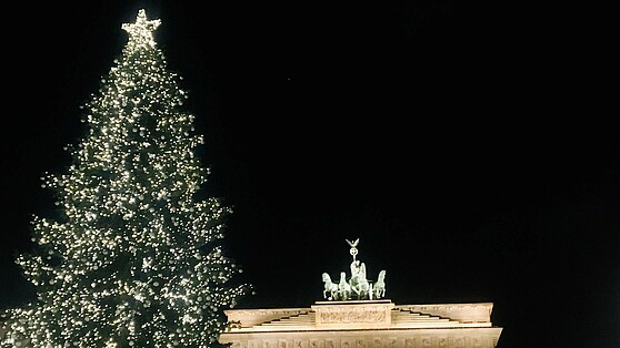 Christmas tree in front of Quadriga