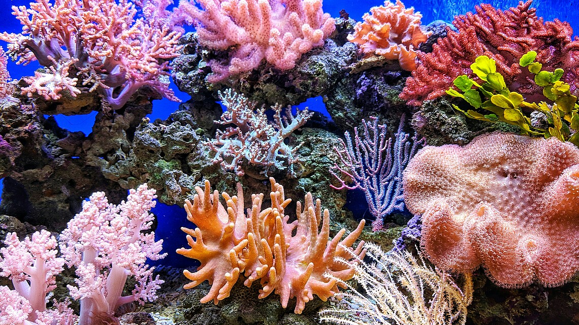© Qui Nguyen via Unsplash