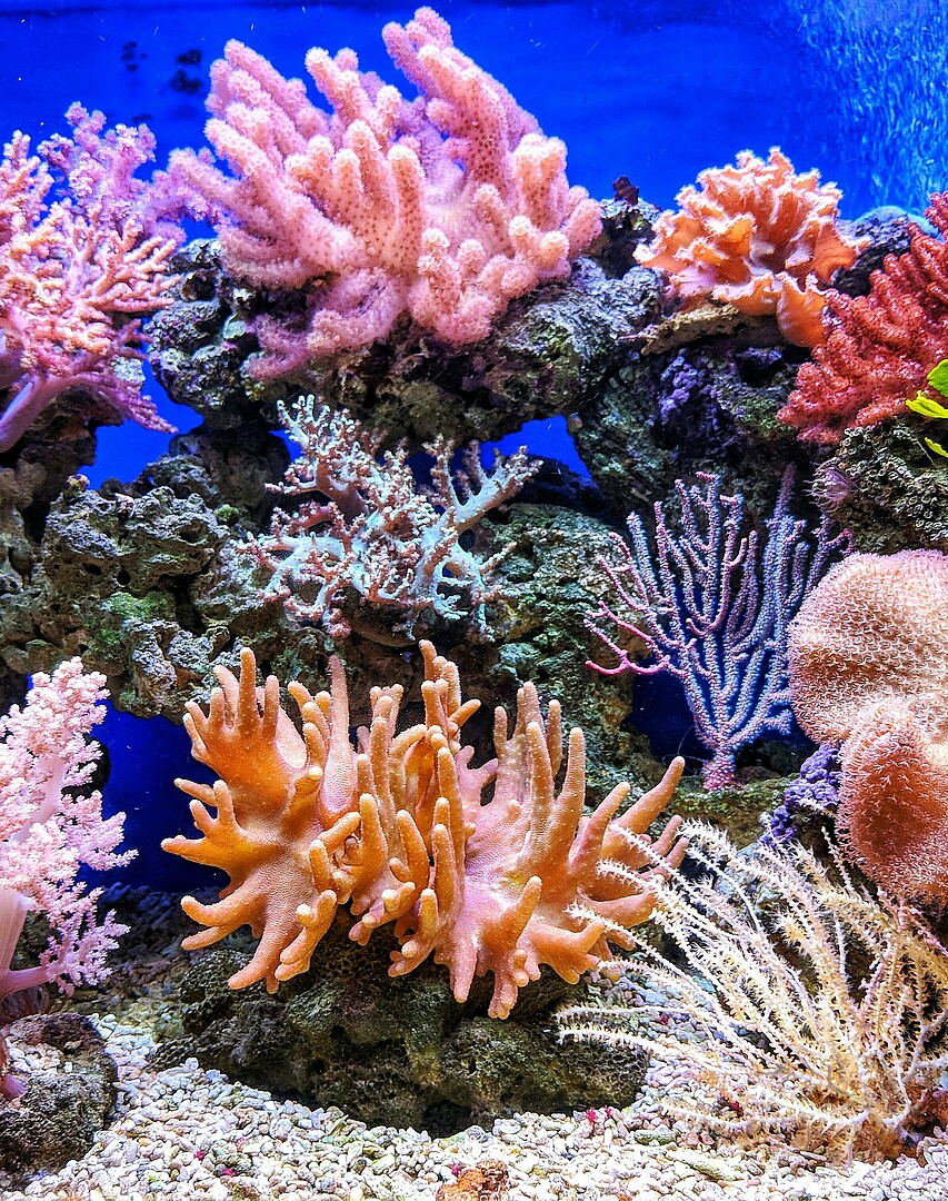 © Qui Nguyen via Unsplash