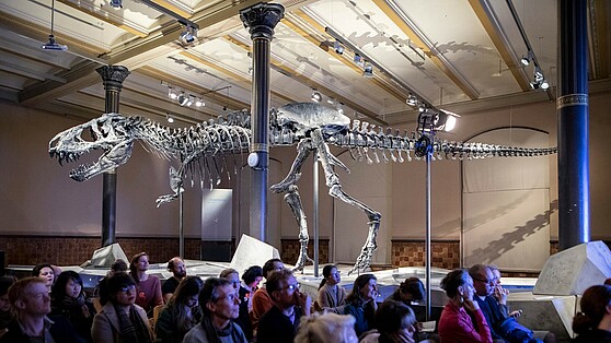 Dinosaur skeleton Tristan in the Museum of Natural History Berlin
