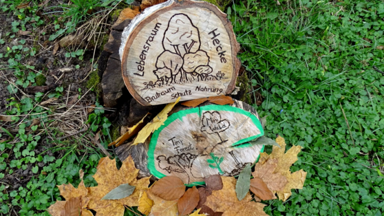 © Freie Universität Berlin / Janet Wagner