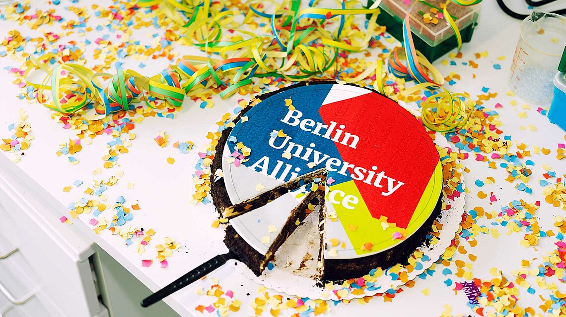 Angeschnittene Torte mit Schriftzug "Berlin University Alliance"; Brain City Berlin