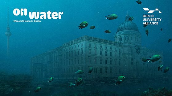 Humboldt Forum und Berliner Dom von der Spree aus betrachtet, Brain City Berlin