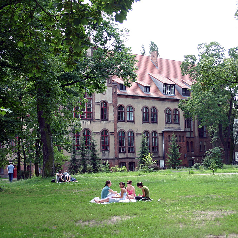 Wissenschaftliche Karriere in Berlin